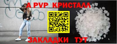 spice Кунгур