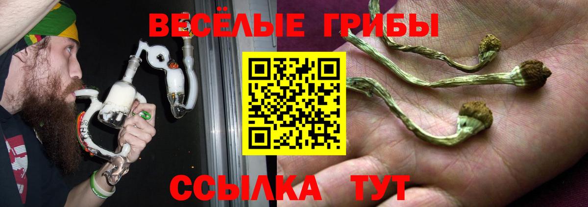 Псилоцибиновые грибы мухоморы Воркута